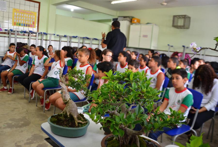 Técnica do bonsai é apresentada durante a Semana da Árvore em escola de Areinha