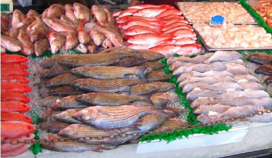 Vigilância em Saúde alerta para cuidados na hora de comprar e consumir pescados