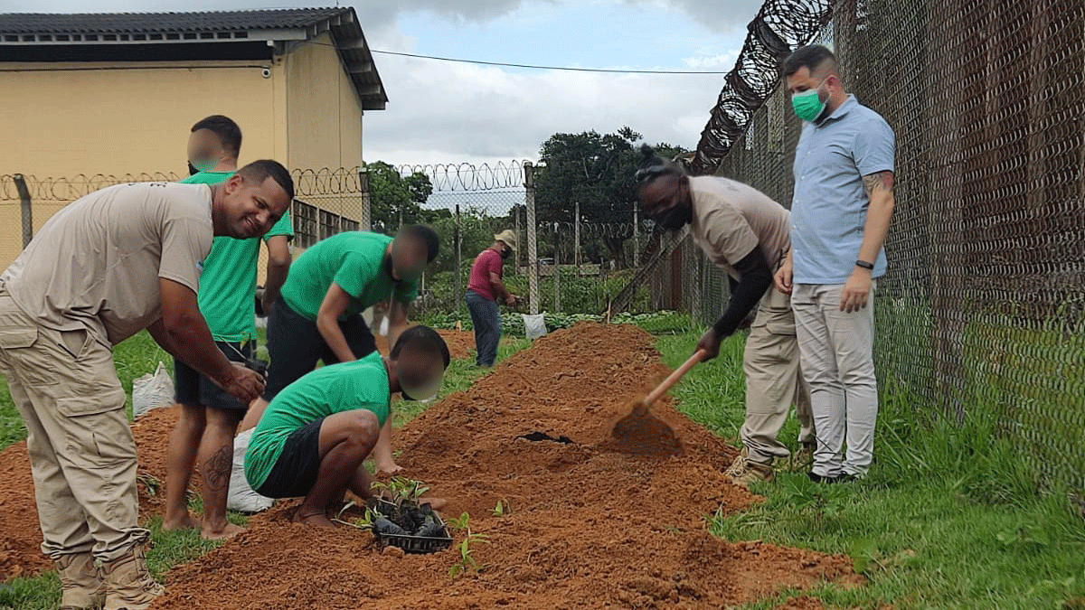 Programa Cultiva Viana inicia plantio de Ora Pro Nobis em unidade socioeducativa