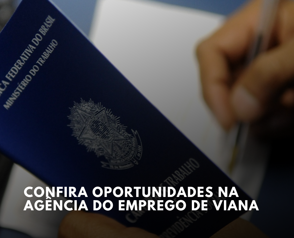 Agência do Emprego de Viana anuncia 46 oportunidades de emprego